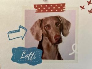 Lotti-Schulhund